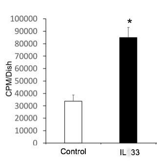 Recombinant Human IL-33 Protein 3625-IL