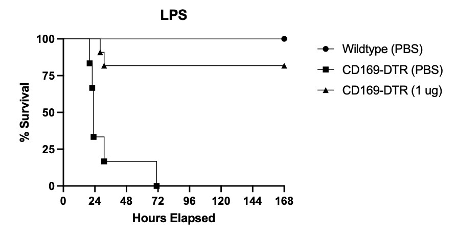 Recombinant Mouse IL-10 Protein 417-ML