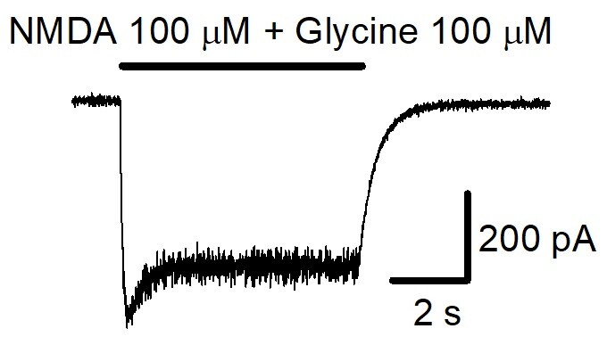 NMDA 0114