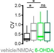 NMDA 0114