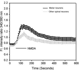 NMDA 0114
