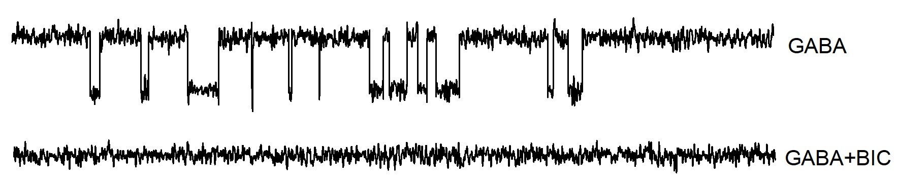 (+)-Bicuculline 0130