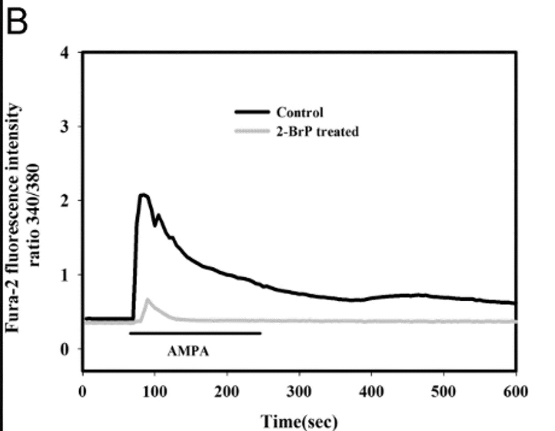 (RS)-AMPA 0169