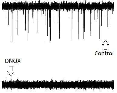 DNQX 0189
