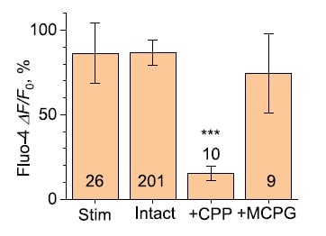 (R)-CPP 0247