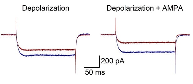 (S)-AMPA 0254