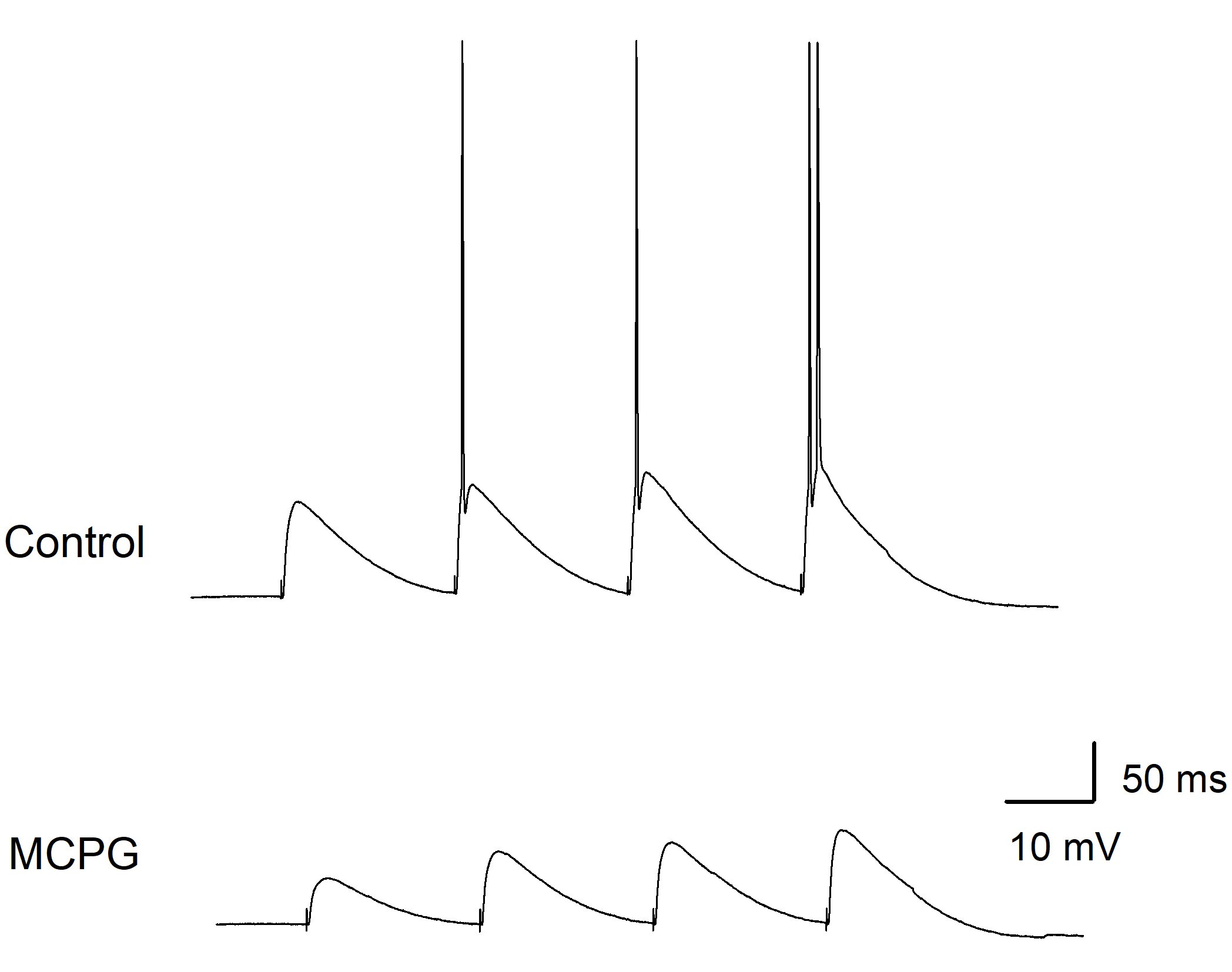 (S)-MCPG 0337
