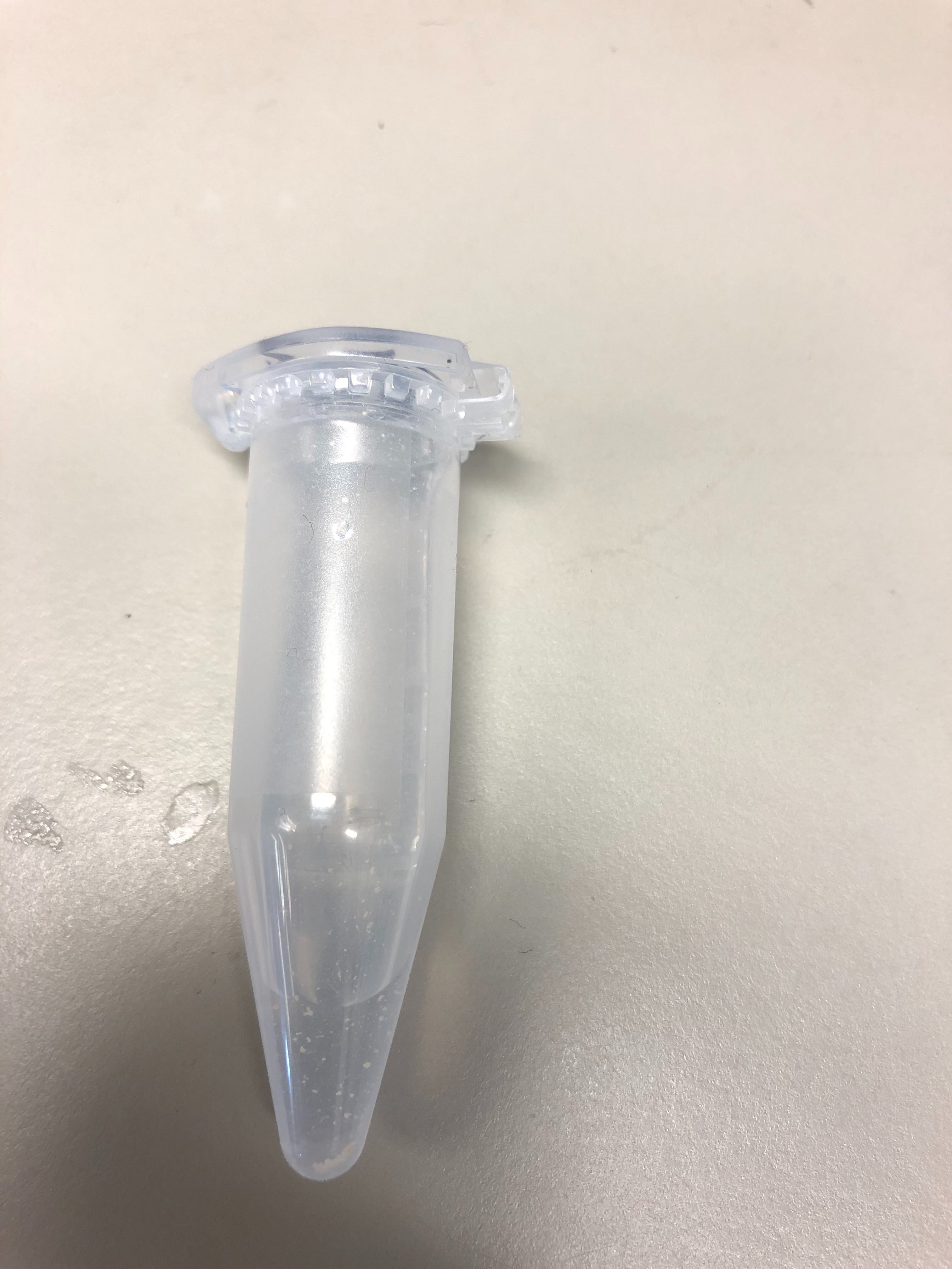 Metergoline 0590