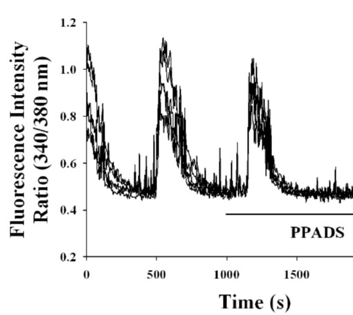 PPADS tetrasodium salt 0625