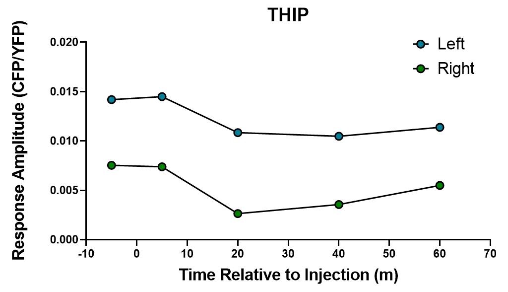 THIP hydrochloride 0807
