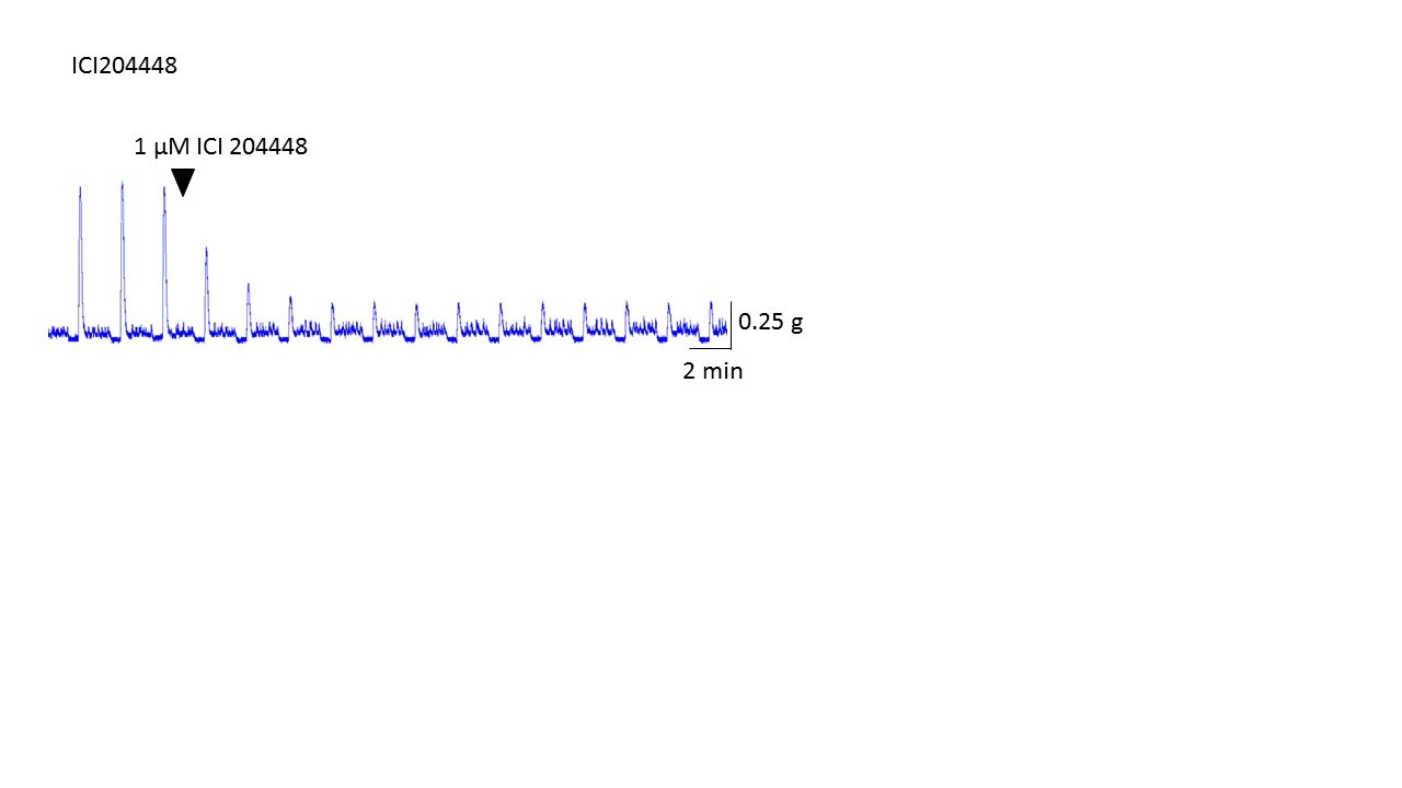 ICI 204,448 hydrochloride 0822