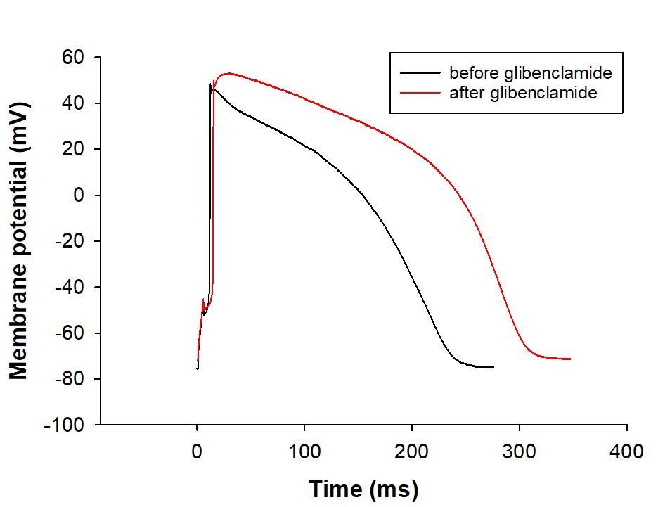 Glibenclamide 0911