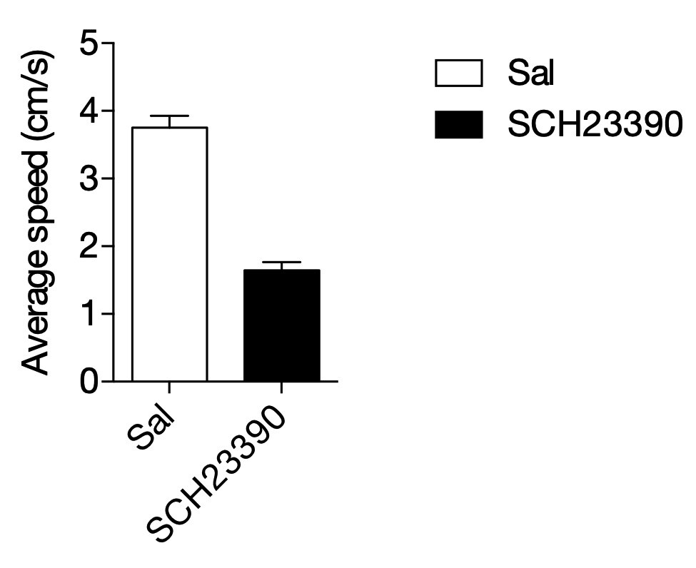 SCH 23390 hydrochloride 0925
