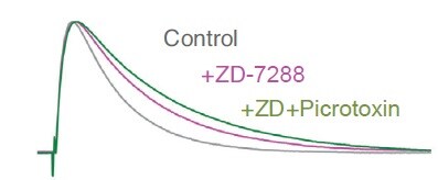 ZD 7288 1000