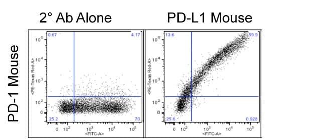 Recombinant Mouse PD-L1/B7-H1 Fc Chimera Protein, CF 1019-B7