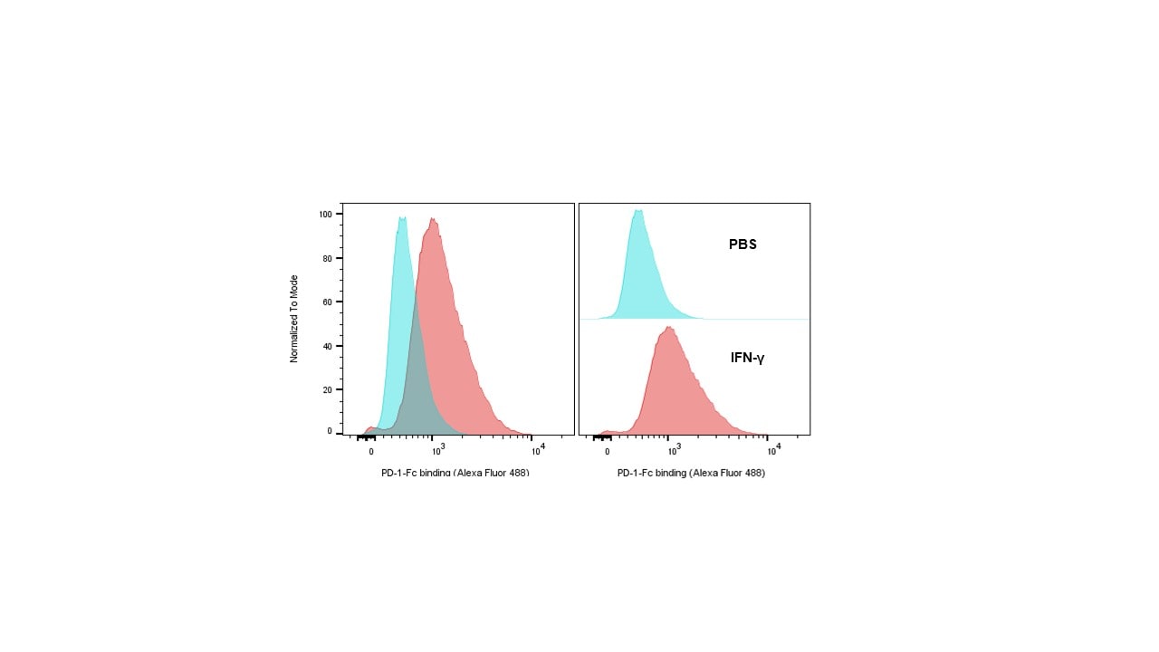 Recombinant Mouse PD-1 Fc Chimera Protein, CF 1021-PD