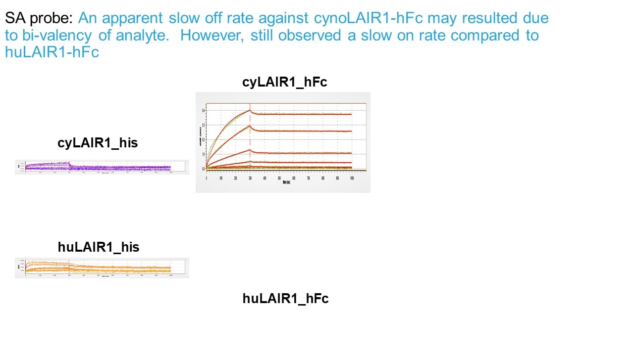 Recombinant Cynomolgus LAIR1 Fc Chimera Protein, CF 10226-LR