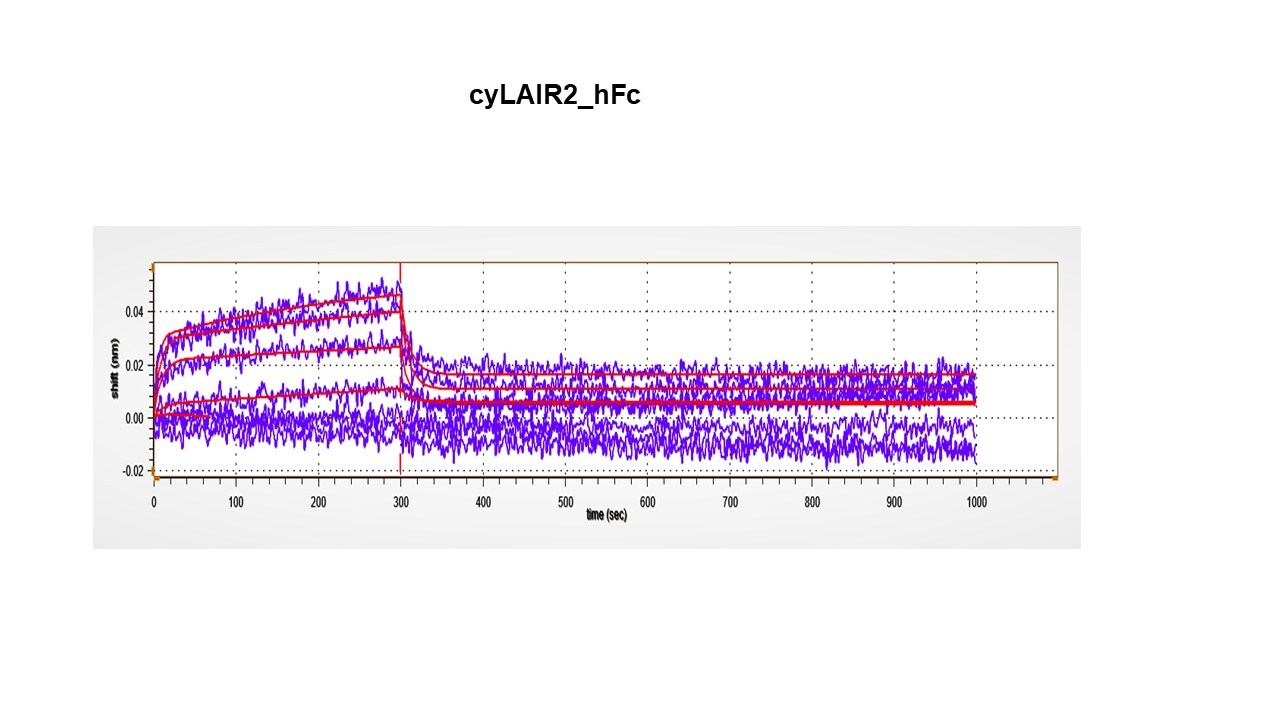 Recombinant Cynomolgus Monkey LAIR2 Fc Chimera Protein, CF 10340-LR