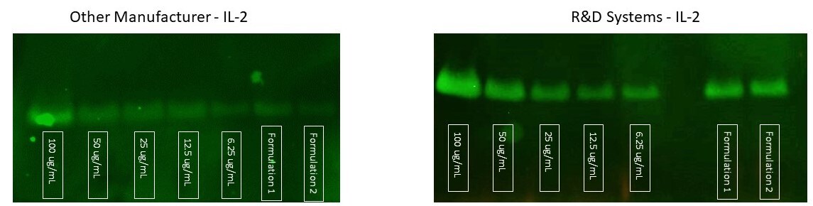 Recombinant Human IL-2 (Mammalian-expressed) Protein, CF 10453-IL