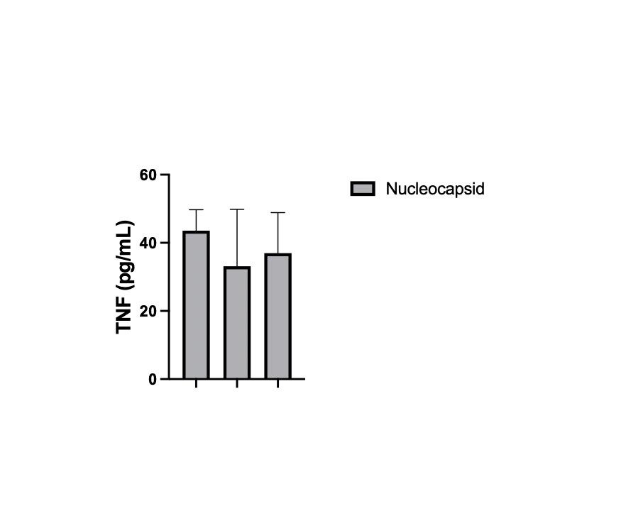 Recombinant SARS-CoV-2 Nucleocapsid His Protein, CF 10474-CV