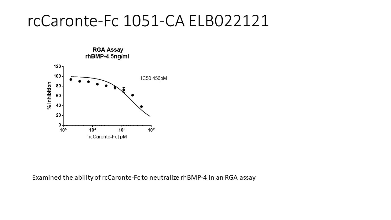 Recombinant Chicken Caronte Fc Chimera Protein, CF 1051-CA