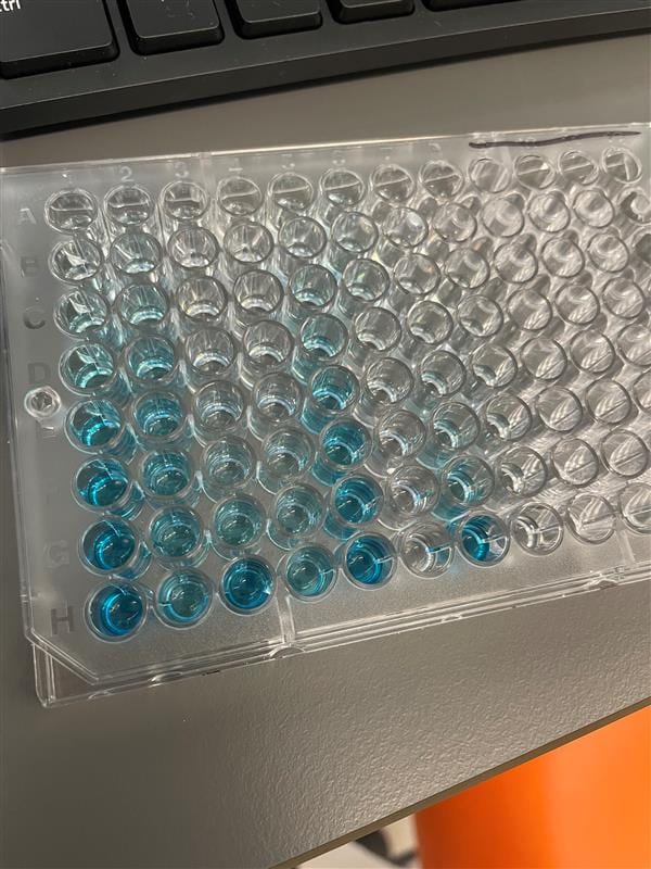 Recombinant SARS-CoV-2 Spike His Protein, CF 10549-CV