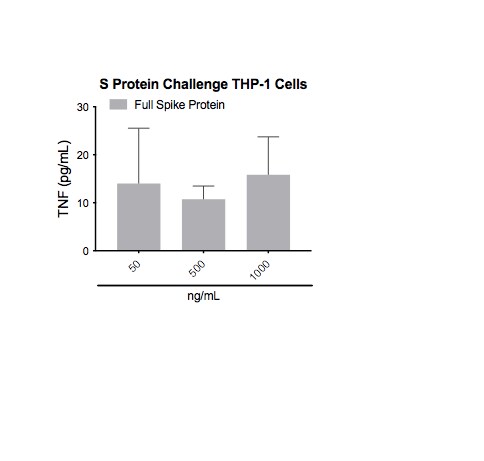 Recombinant SARS-CoV-2 Spike His Protein, CF 10549-CV