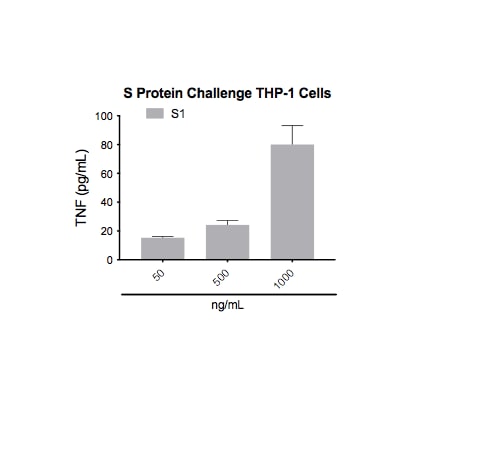Recombinant SARS-CoV-2 Spike S1 Subunit His-tag Protein, CF 10569-CV