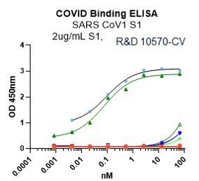 Recombinant SARS-CoV Spike S1 Subunit His-tag Protein, CF 10570-CV