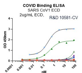 Recombinant SARS-CoV Spike (GCN4-IZ) His-tag Protein, CF 10581-CV