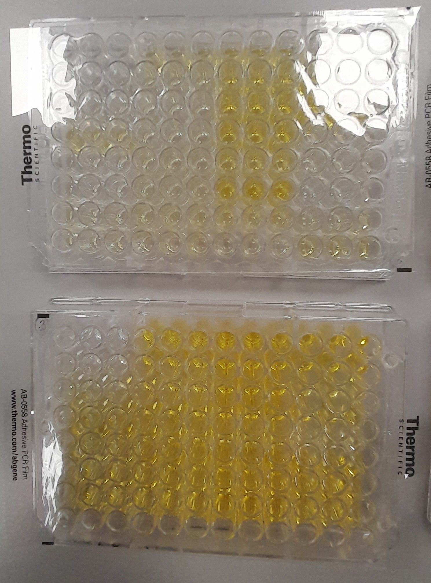 Recombinant SARS-CoV Spike (GCN4-IZ) His-tag Protein, CF 10581-CV