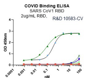 Recombinant SARS-CoV Spike RBD His-tag Protein, CF 10583-CV
