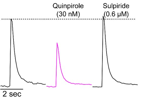 (-)-Quinpirole hydrochloride 1061
