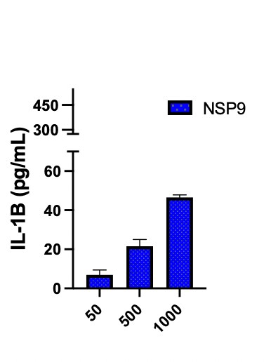 Recombinant SARS-CoV-2 NSP9 His-tag Protein, CF 10631-CV