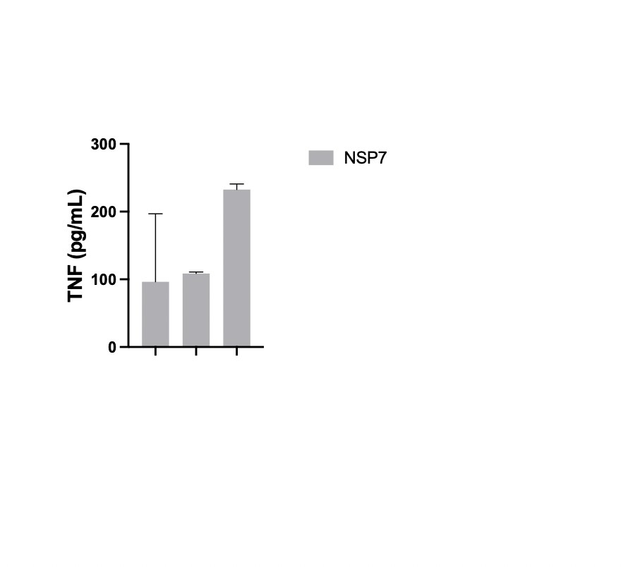 Recombinant SARS-CoV-2 NSP7 His-tag Protein, CF 10632-CV