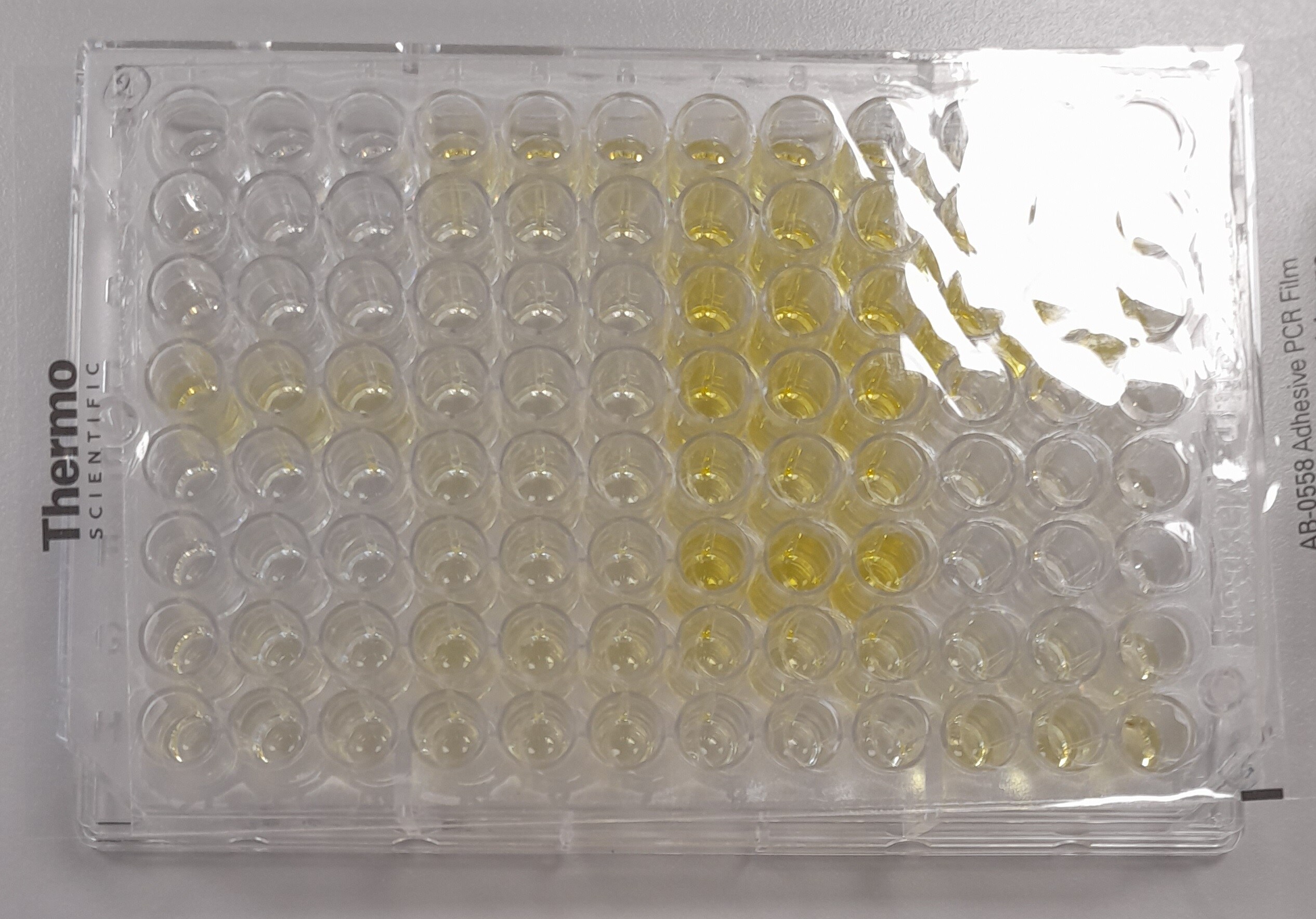 Recombinant SARS-CoV-2 Spike (GCN4-IZ) His Protein, CF 10638-CV