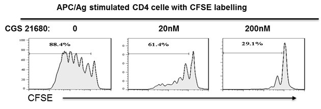 CGS 21680 hydrochloride 1063