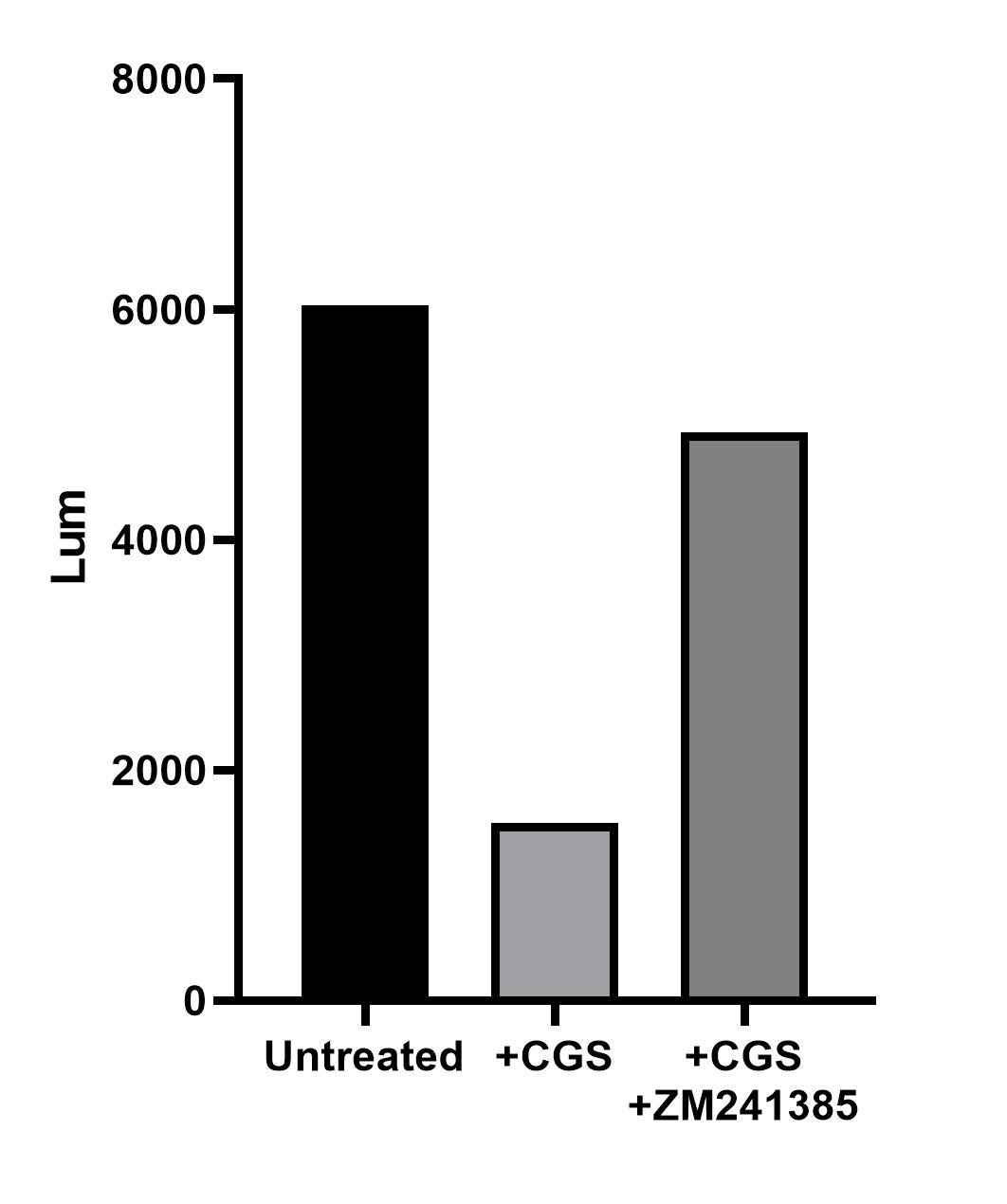 CGS 21680 hydrochloride 1063