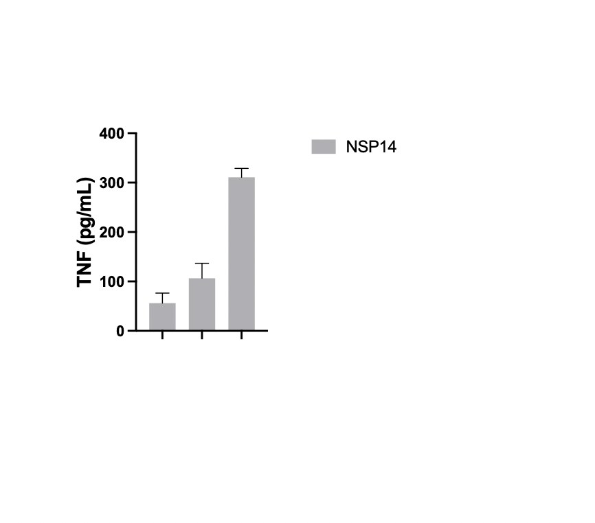 Recombinant SARS-CoV-2 NSP14 His-tag Protein, CF 10667-CV