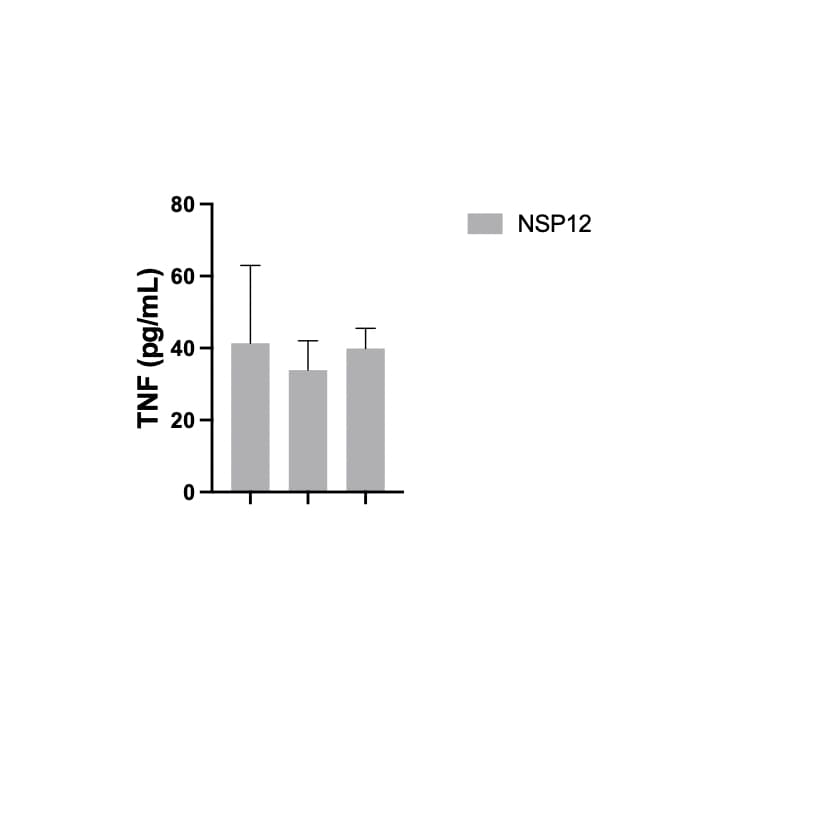 Recombinant SARS-CoV-2 NSP12 His-tag Protein, CF 10686-CV