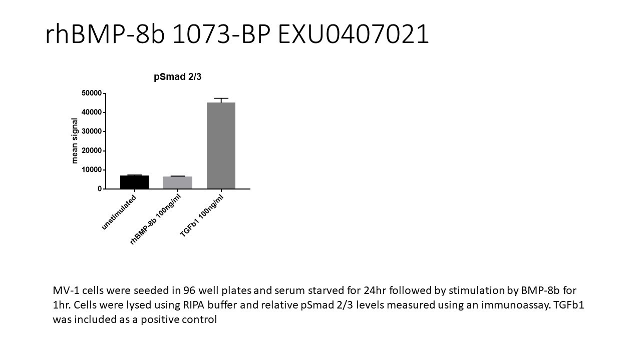 Recombinant Human BMP-8a Protein 1073-BP