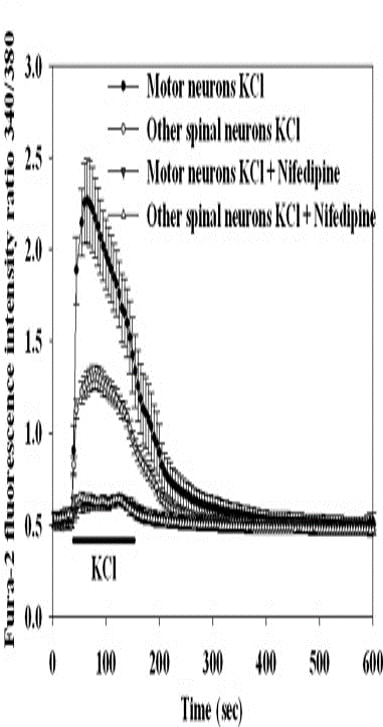 Nifedipine 1075