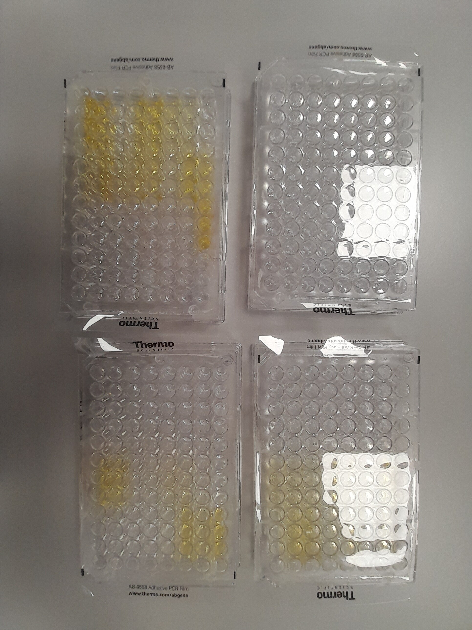 Recombinant SARS-CoV-2 B.1.1.7 Spike GCN4-IZ His Protein, CF 10796-CV
