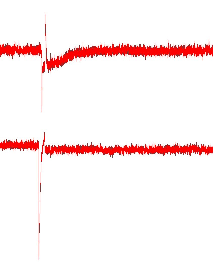 ω-Conotoxin MVIIC 1084