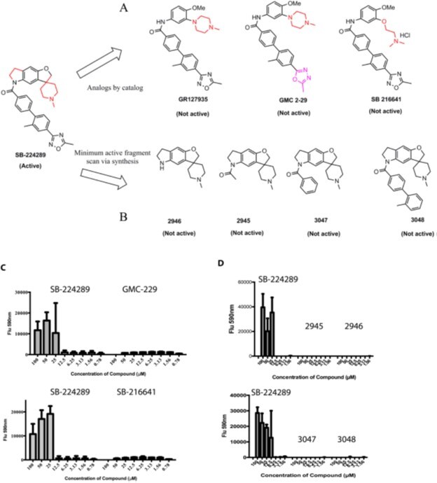 ω-Conotoxin GVIA 1085