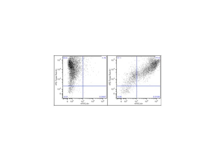 Recombinant Human PD-1 Fc Chimera Protein, CF 1086-PD
