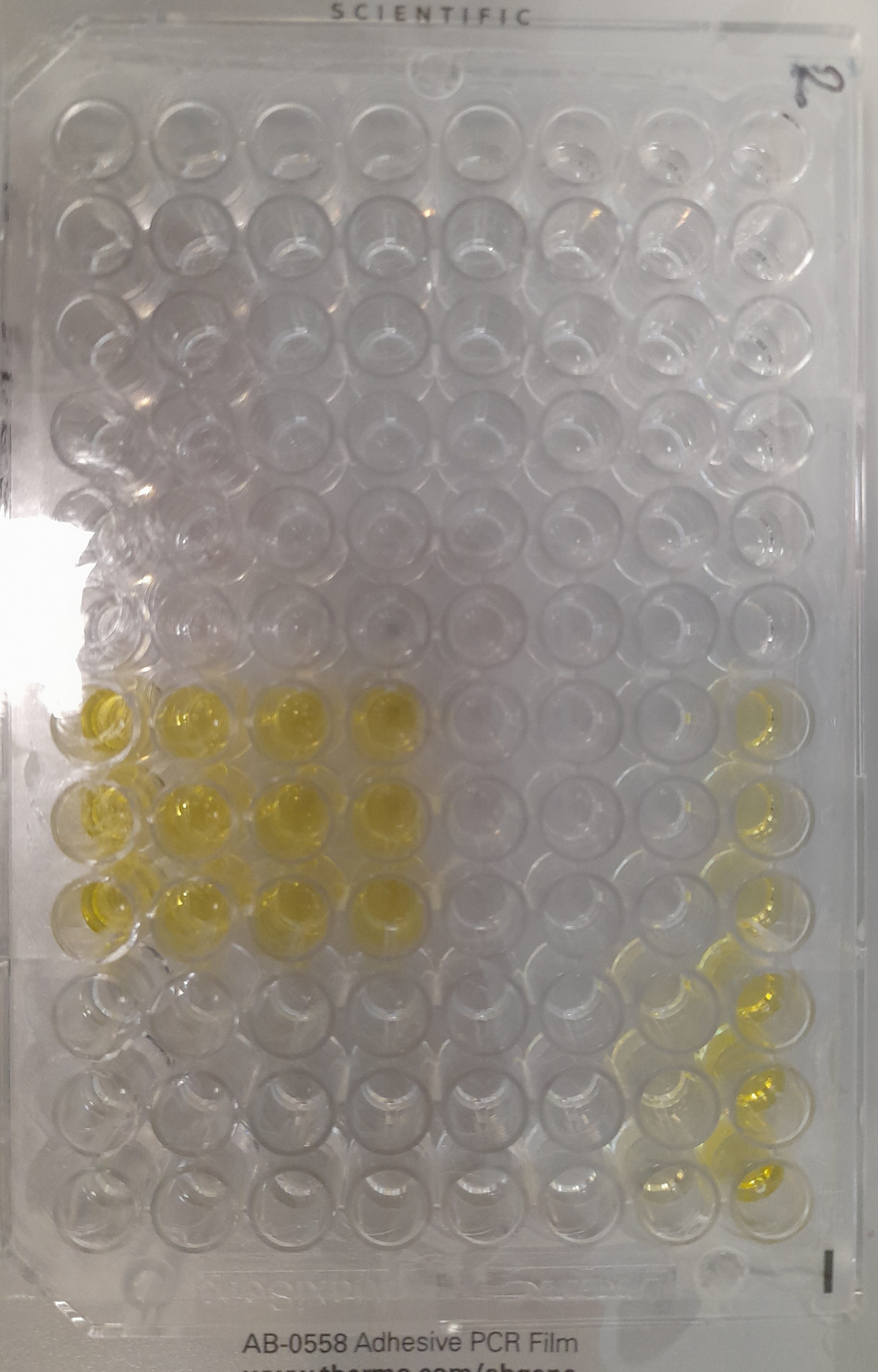 Recombinant SARS-CoV-2 B.1.617.1 Spike GCN4-IZ Protein, CF 10861-CV