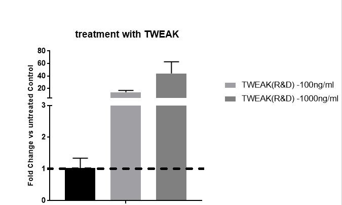 Recombinant Human TWEAK/TNFSF12 Protein 1090-TW