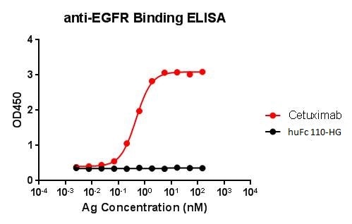 Recombinant Human IgG1 Fc Protein, CF 110-HG