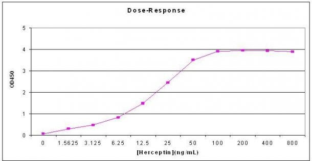 Recombinant Human ErbB2/Her2 Fc Chimera Protein, CF 1129-ER